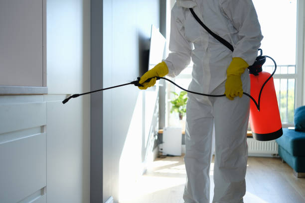 Best Post-Flood Mold Remediation in Seneca, SC