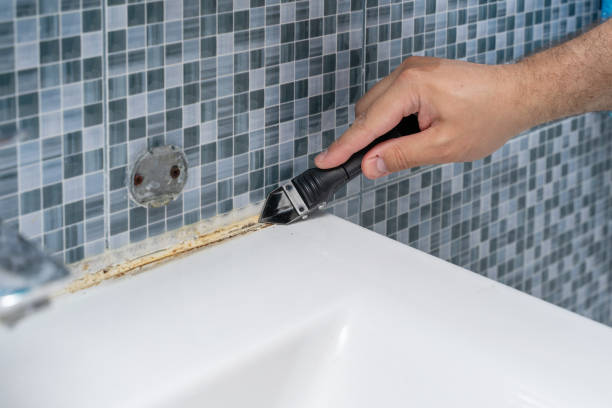 Best Commercial Mold Remediation in Seneca, SC